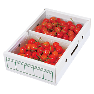 さくらんぼ汎用箱(産地記載なし)