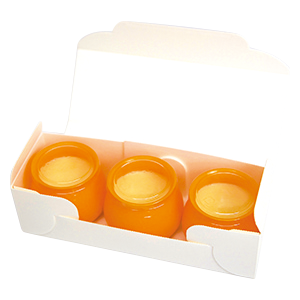 エコプリンカップ