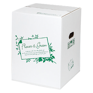 フラワー宅配箱