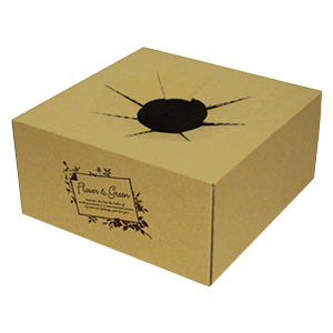 クラフト/ホワイトベース