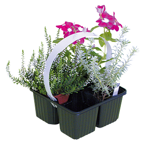 苗箱・苗トレー