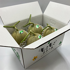 サンプルイメージ