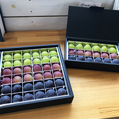 サンプルイメージ