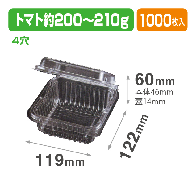 VF200S.4H 透明