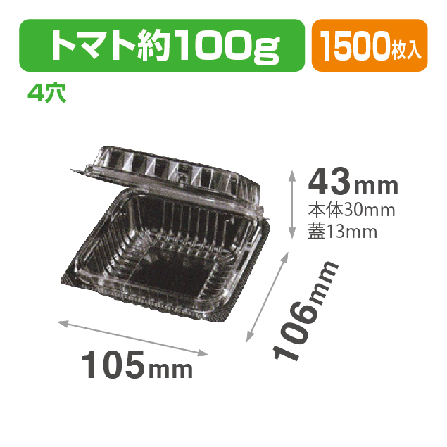 VF-100AP.4H (R) 透明