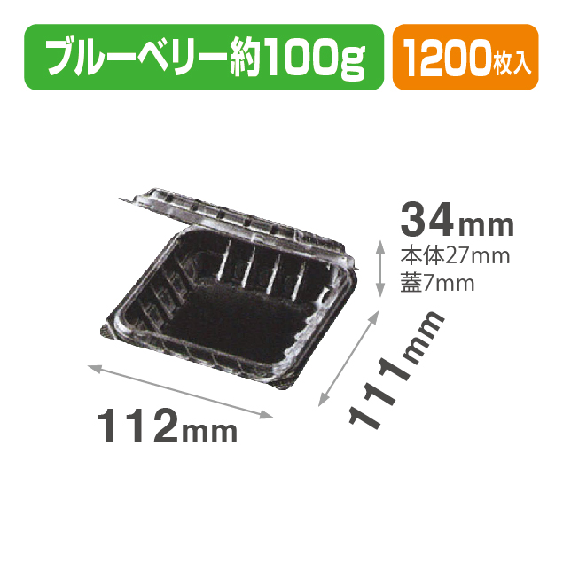 ブルーベリー型防曇 (BBP 100-DF) 透明