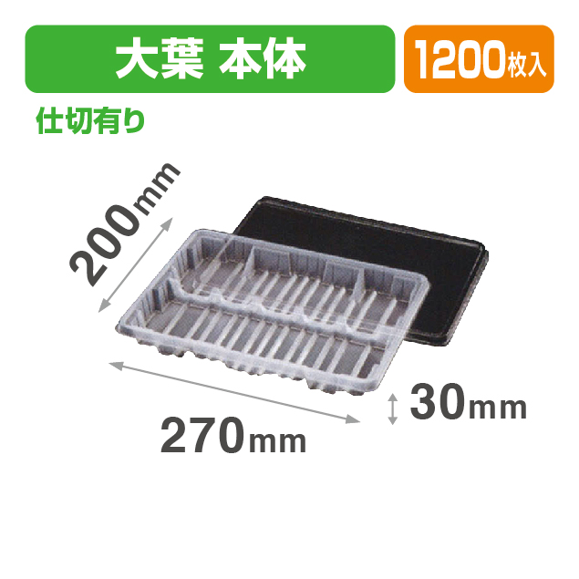大葉本体 仕切有リ 半透明
