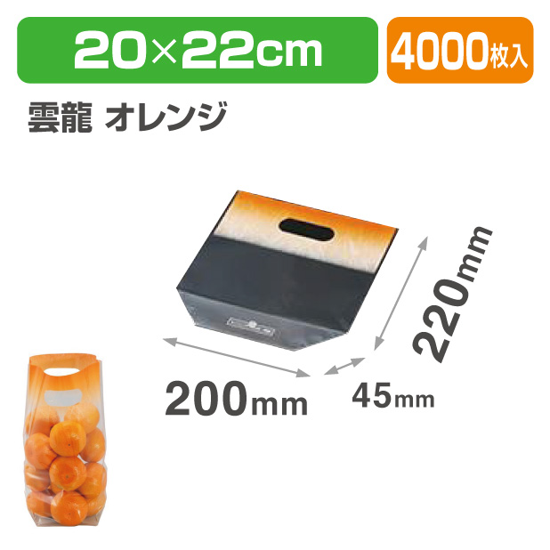 サンバッグB2022 雲竜 オレンジ R