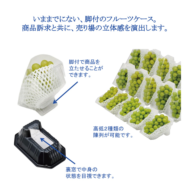 FRプラスL 透明商品画像3