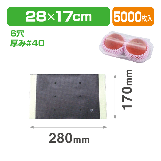 WT1-40 170×280紙セパ付 透明