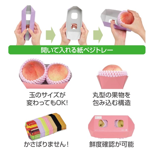 紙ベジトレー26-8 グリーン FSM商品画像2