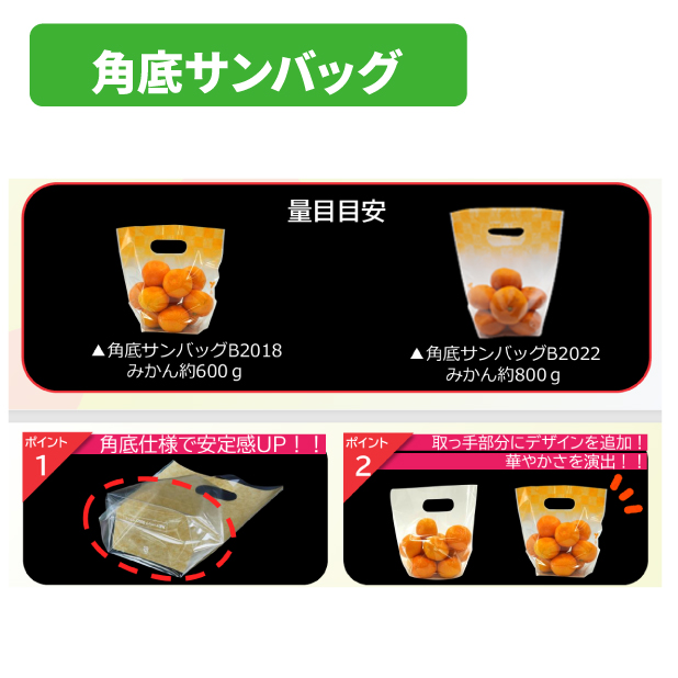 角底サンバッグB2018 プラ 透明商品画像2