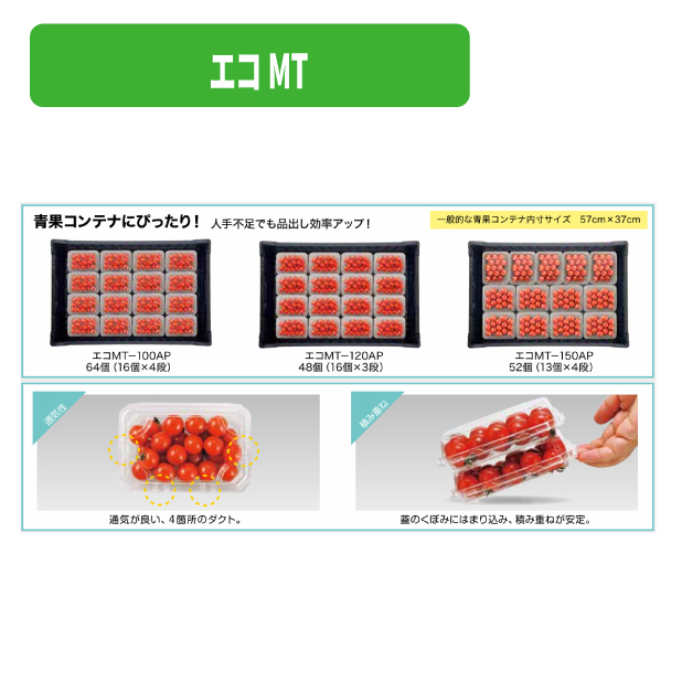 エコMT-100AP 透明商品画像2