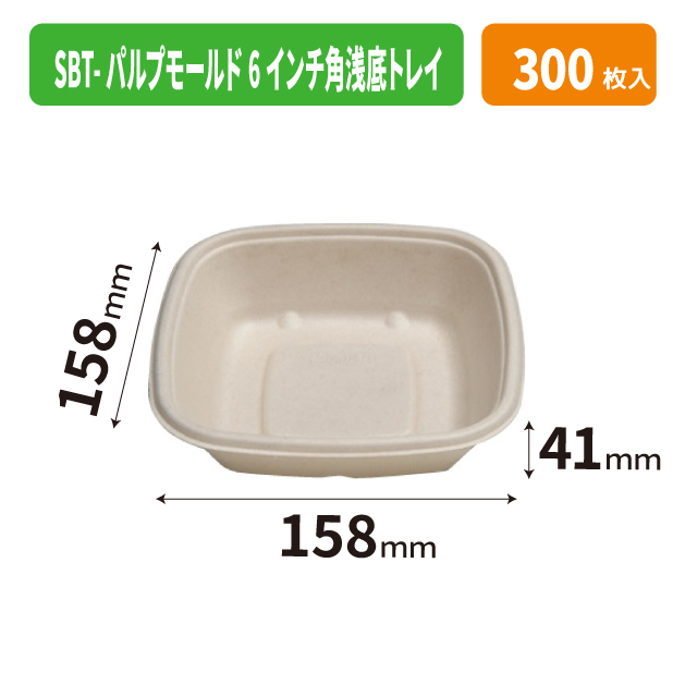 SBT-パルプモールド 6インチ角浅底トレイ