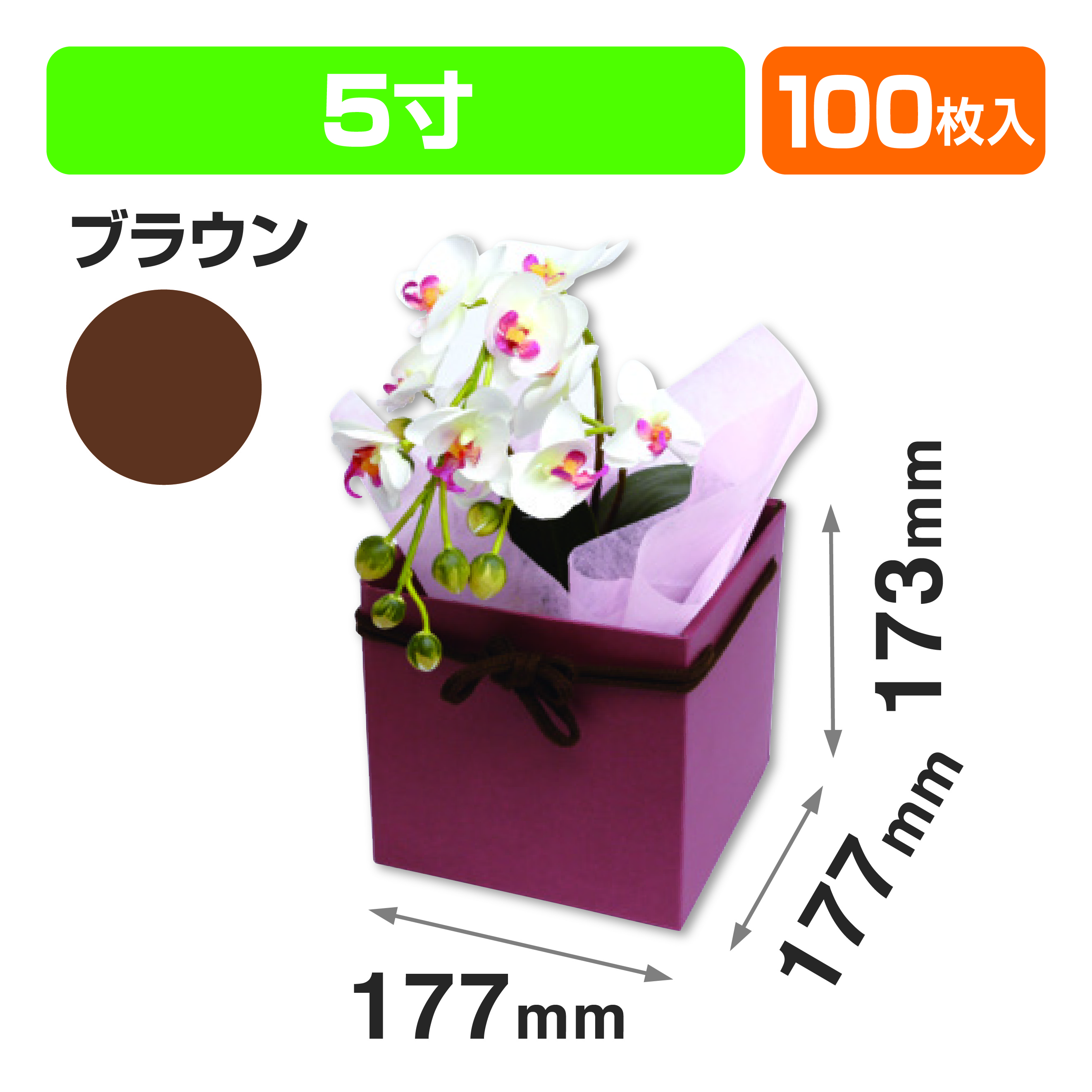 スクエアBOX(5寸) ブラウン