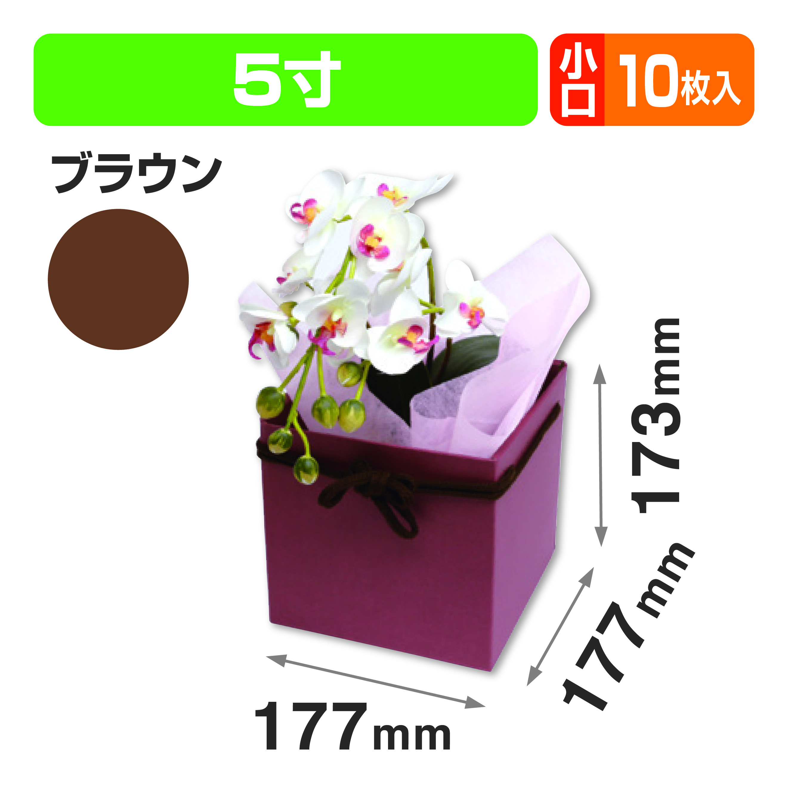 スクエアBOX(5寸) ブラウン 小口