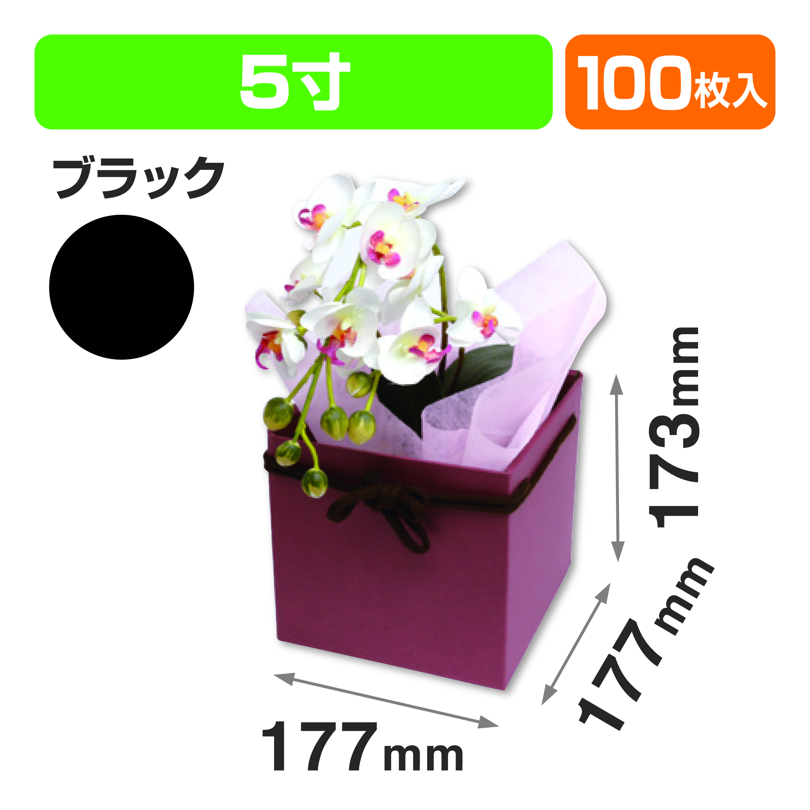 スクエアBOX(5寸) ブラック