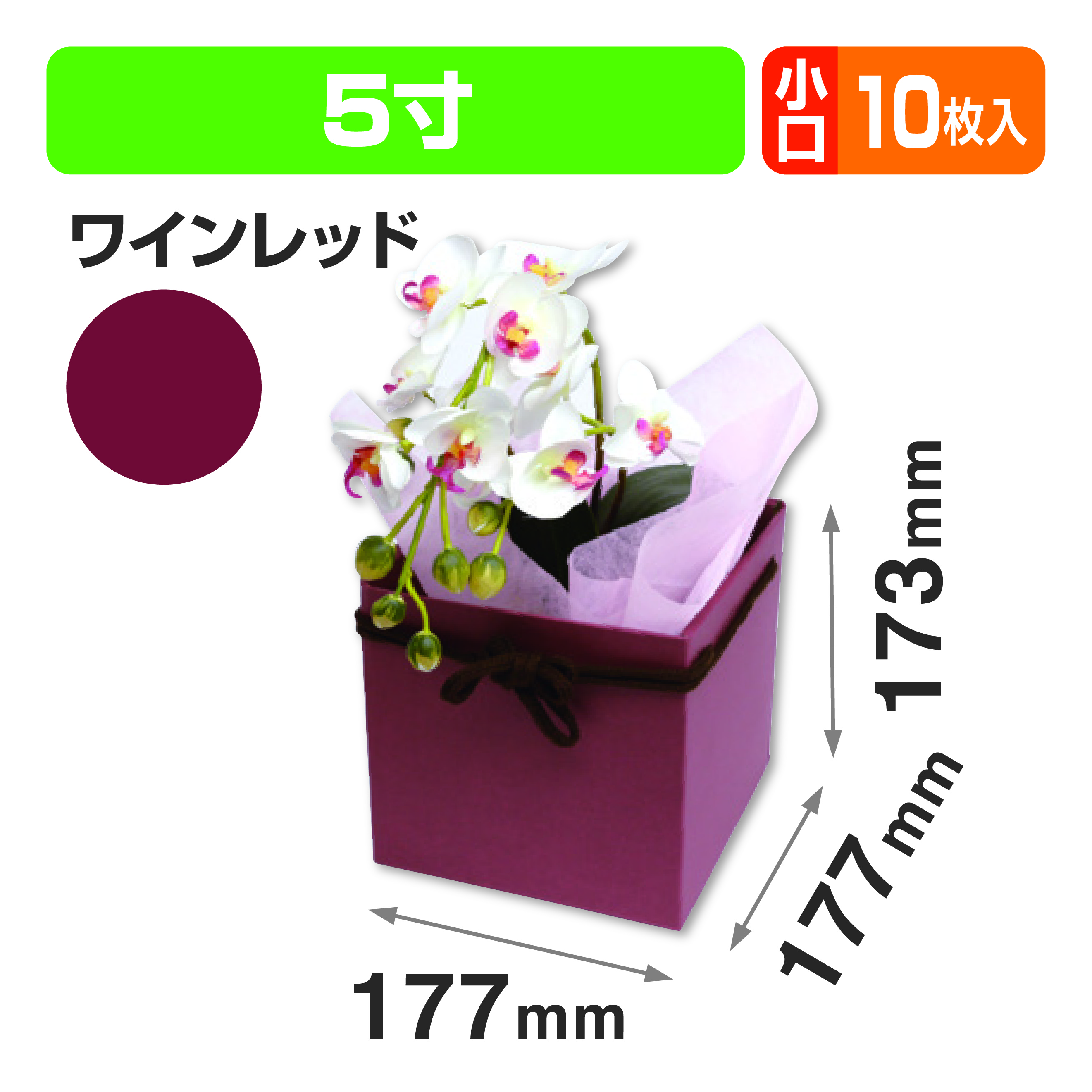 スクエアBOX(5寸) ワインレッド 小口