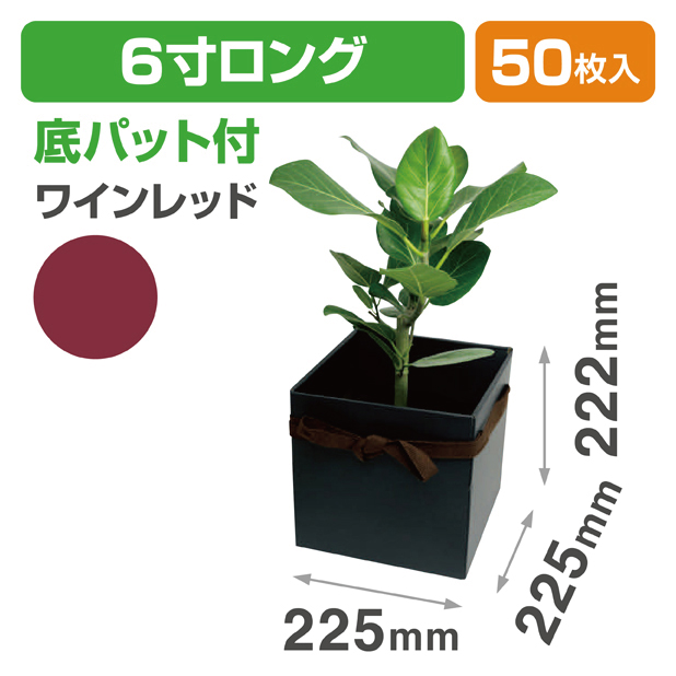 スクエアBOX(6寸ロング) ワインレッド