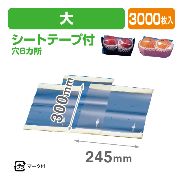 シートテープ付(大)