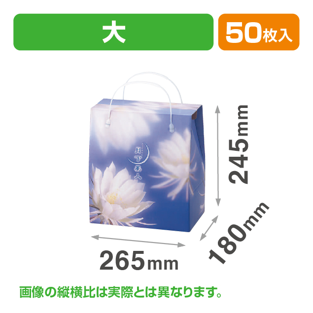 月下美人(大)