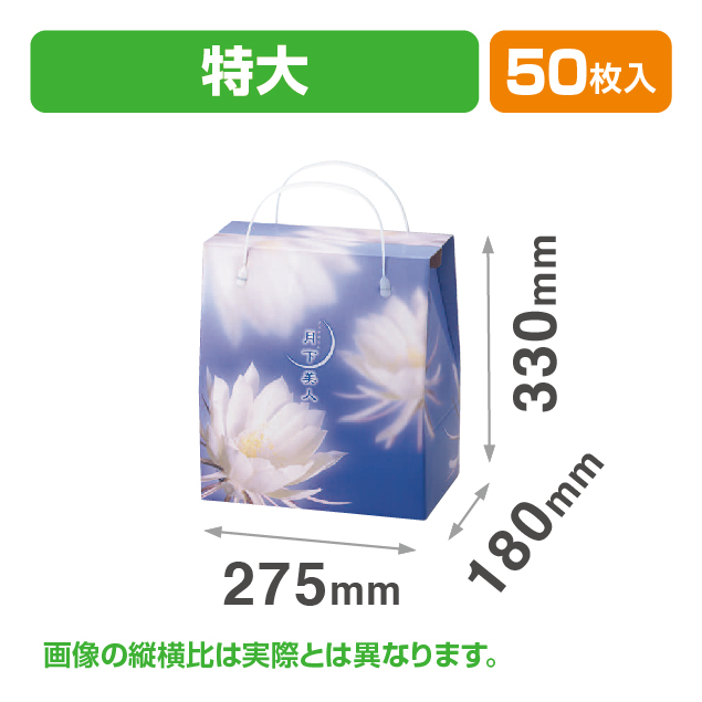 月下美人(特大)