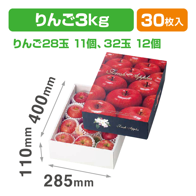 フレッシュなりんご(大)