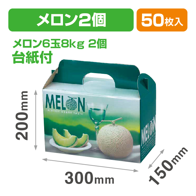 ビリジスメロン2ヶ入