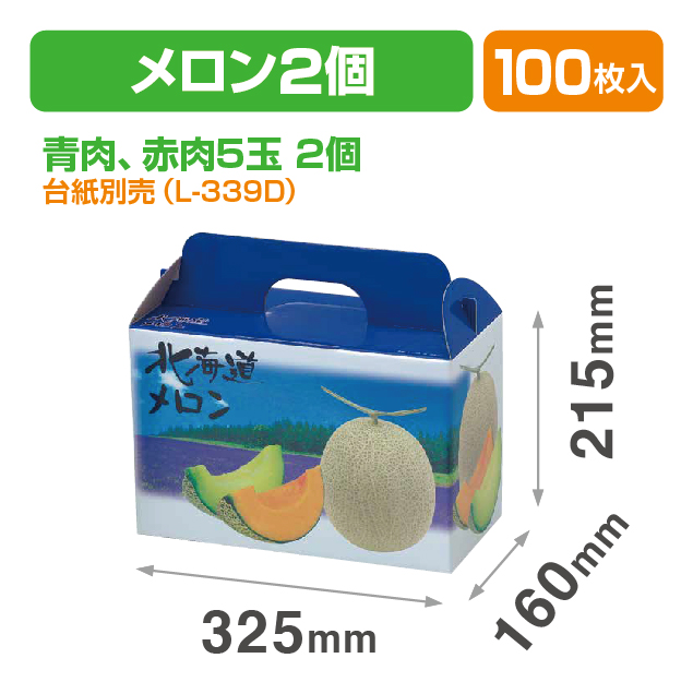 北海道メロン2ヶ入