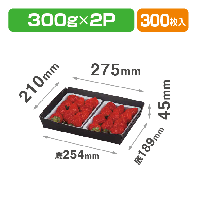 ミニ段黒トレー2P浅型