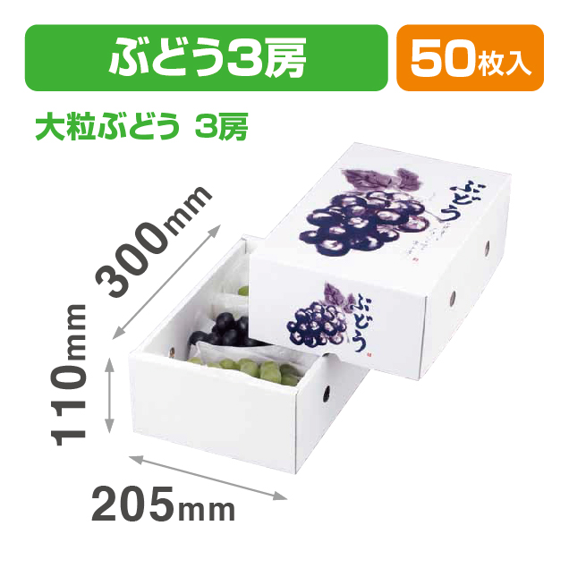 もぎたてのぶどう2㎏