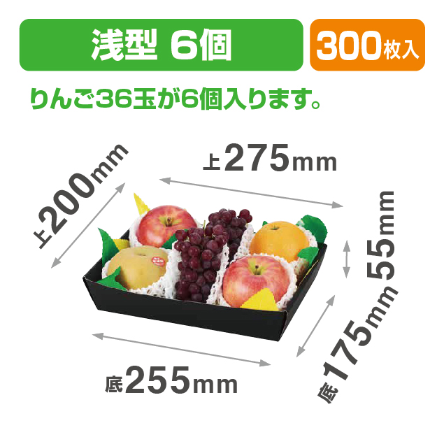 コンテナトレー浅黒6