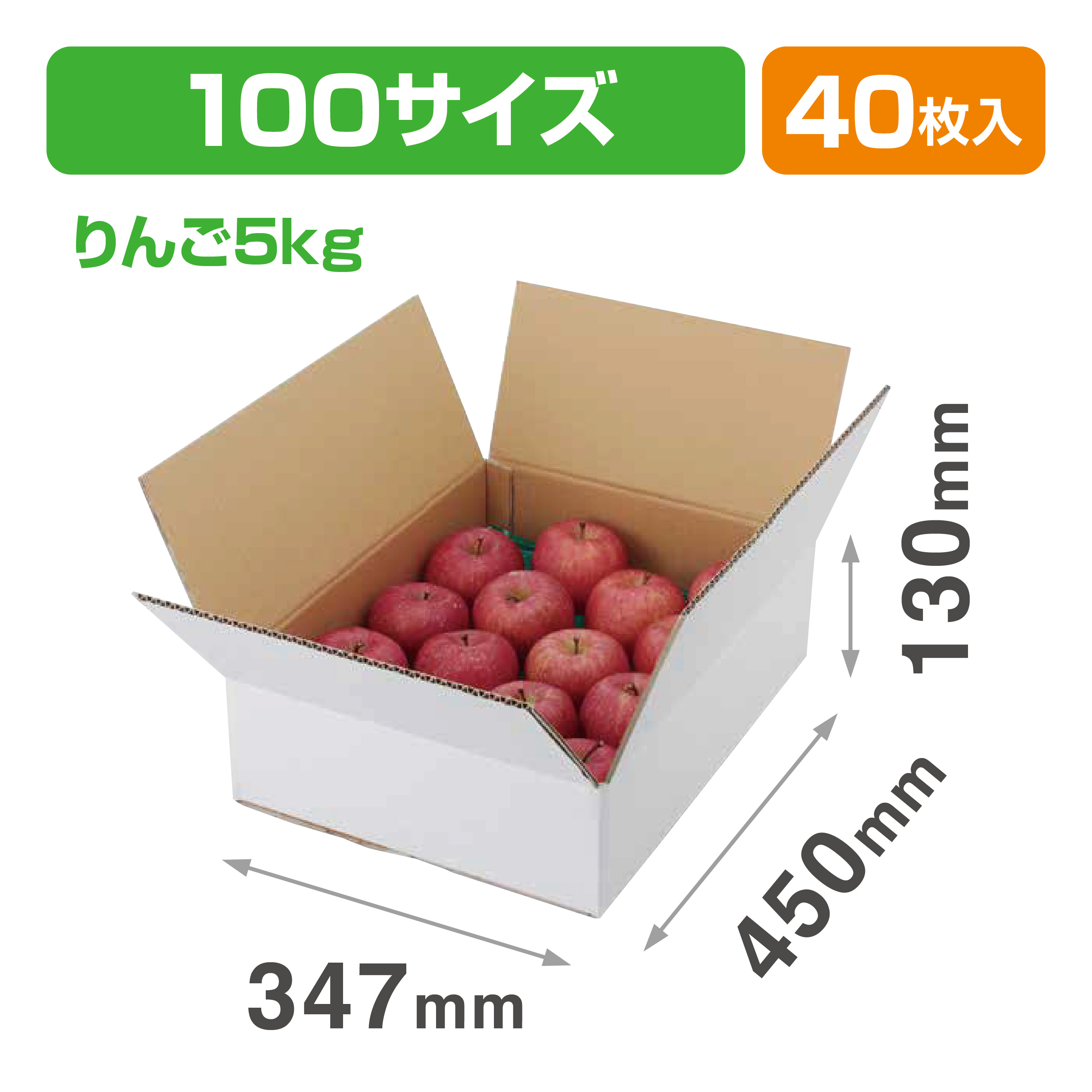 A式りんご白無地5㎏