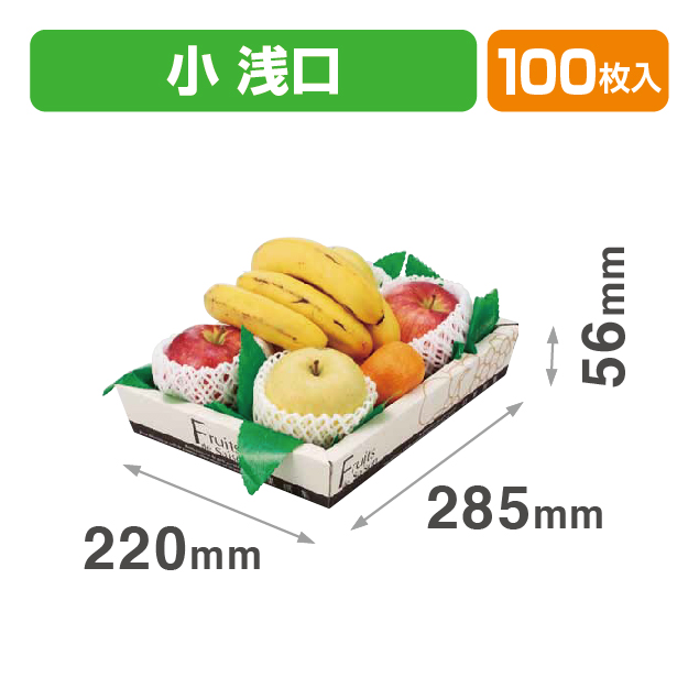 盛箱V旬果撰集(小)浅口