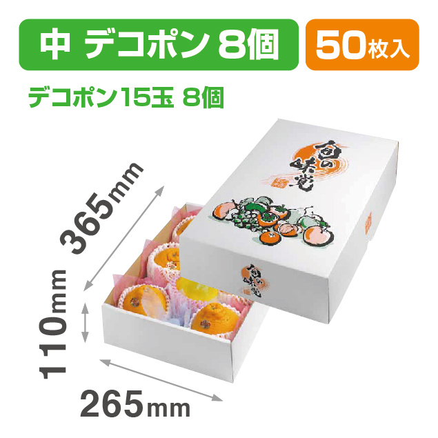 四季の果実 中B