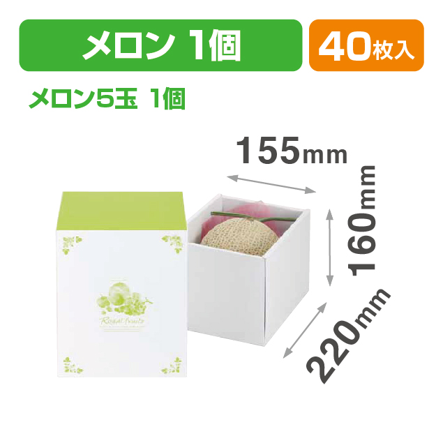 シャルトルーズメロン 1イ入160（汎用フルーツ箱）