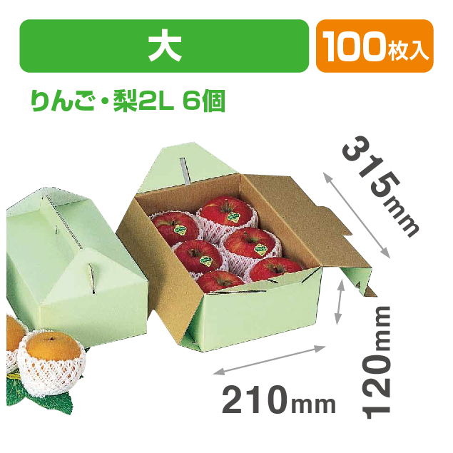 手提グリーン(大)