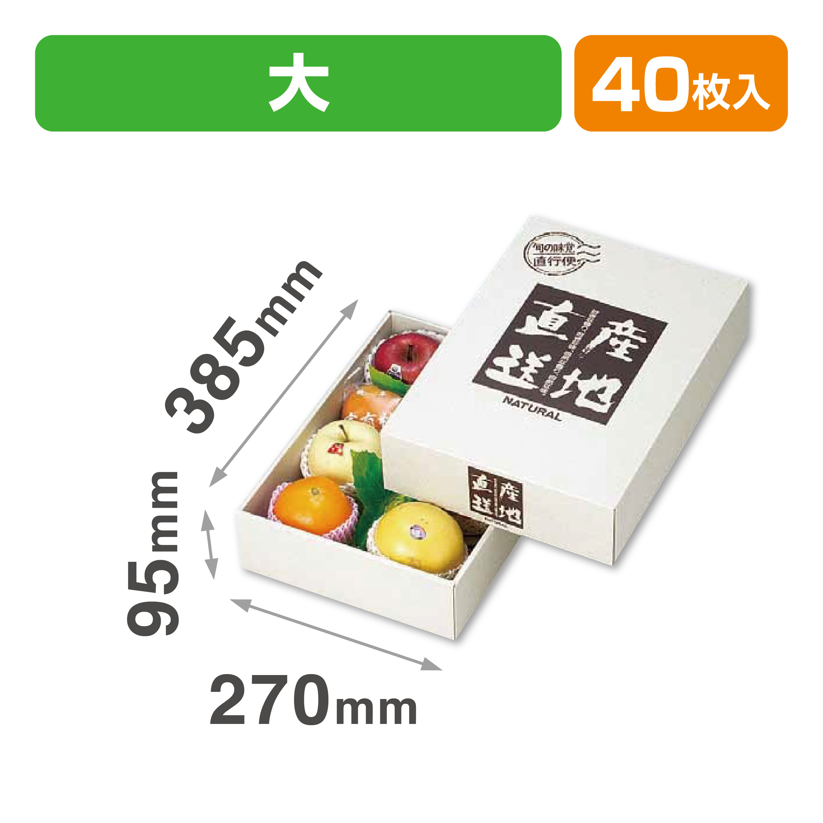 旬の味覚(大)