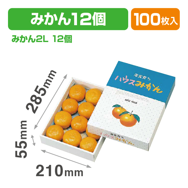 ハウスみかん