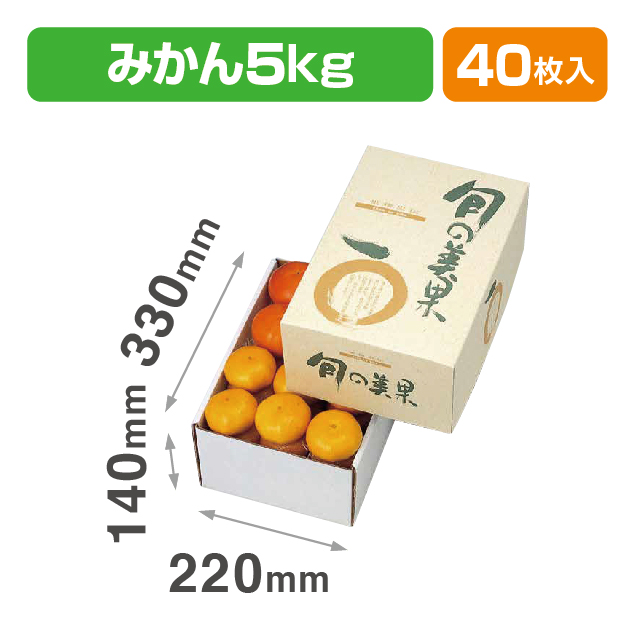 旬の美果5㎏