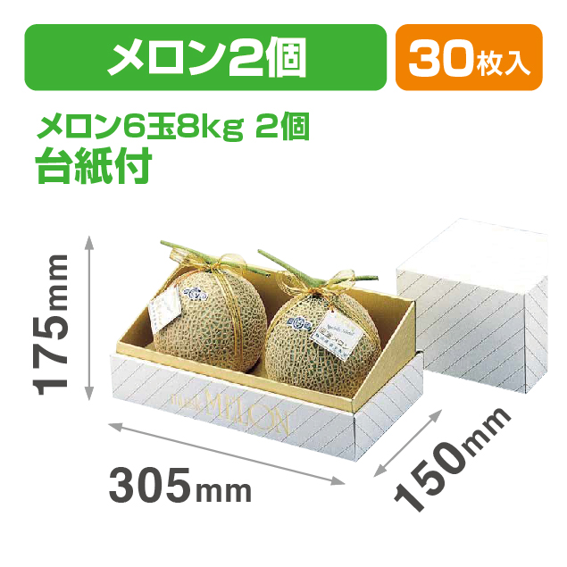 金台紙メロン2ヶ入