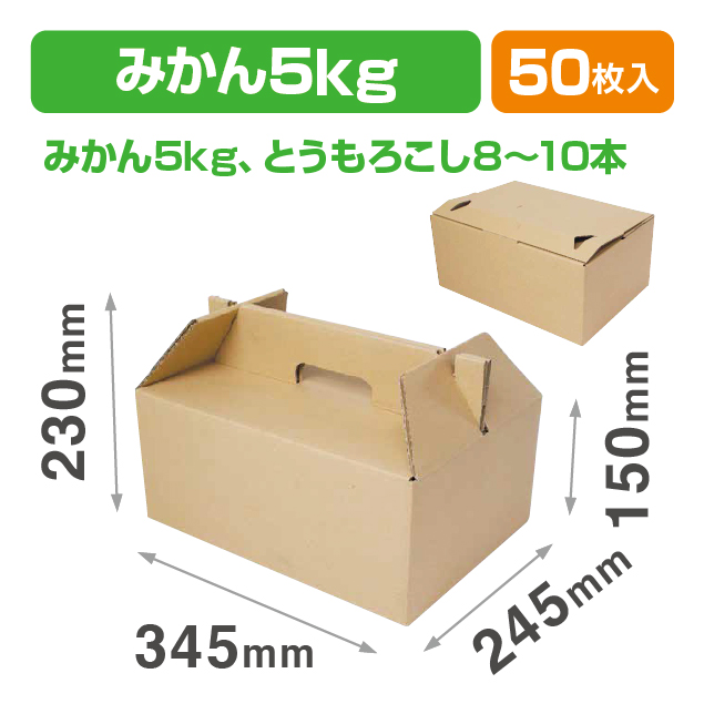 クラフトキャリー(大)