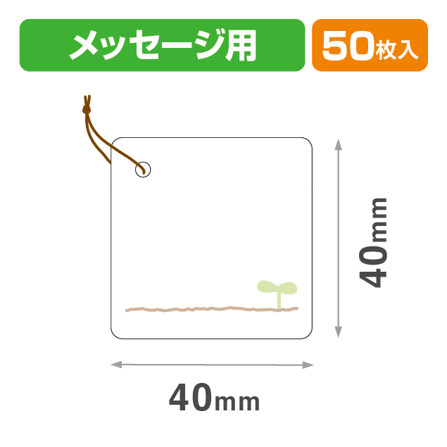 タグ新芽白40角