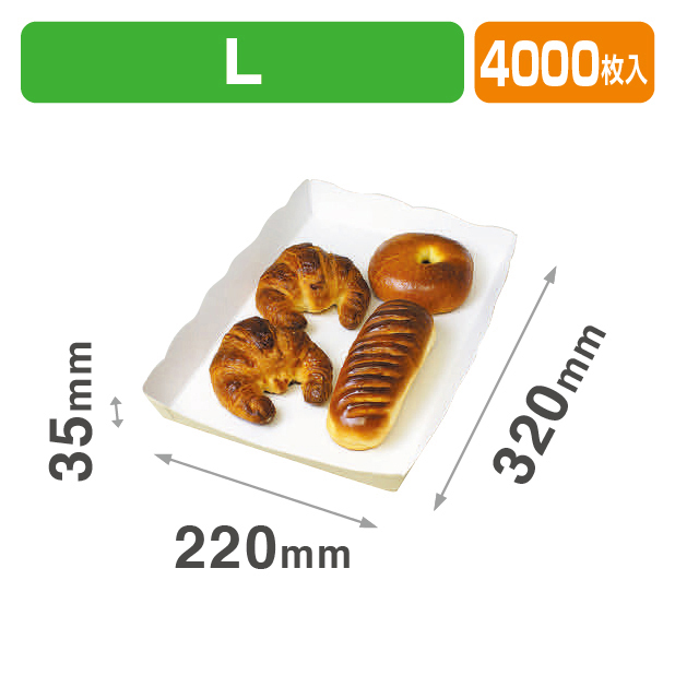 サーフトレーL 大口