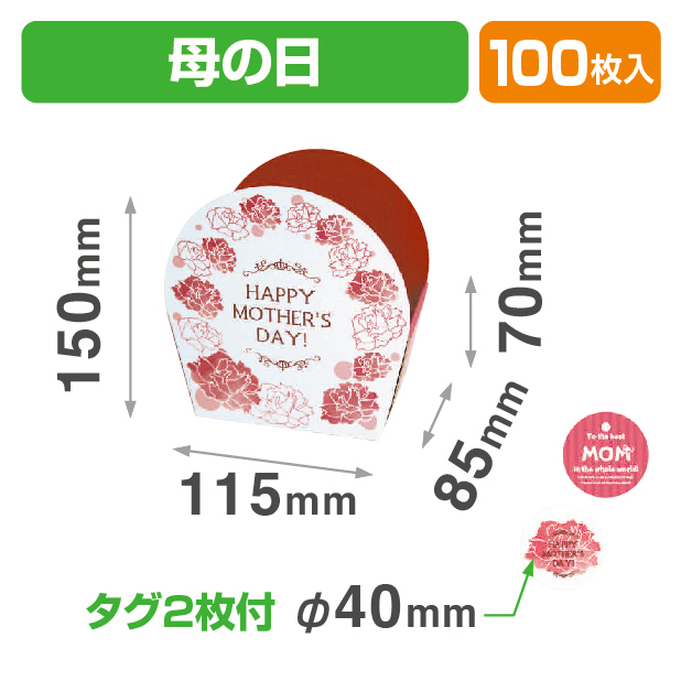 イベントケース　母の日