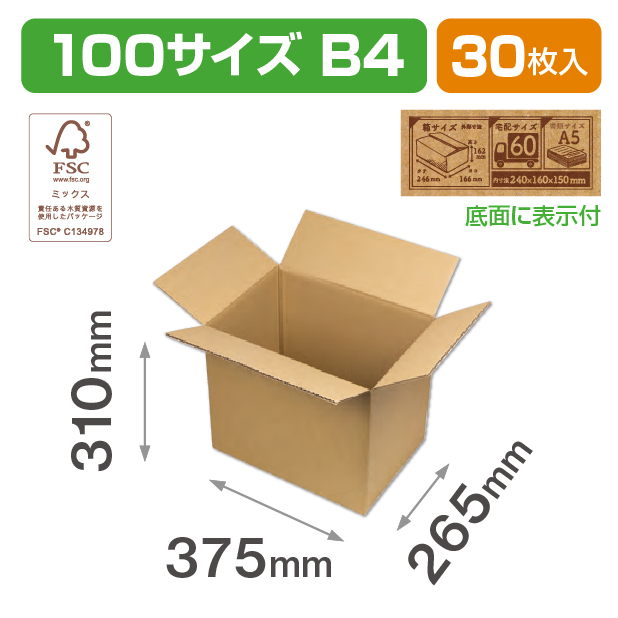 100サイズダンボール(B4)ＦＳ