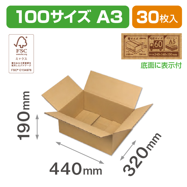 100サイズダンボール(A3)ＦＳ