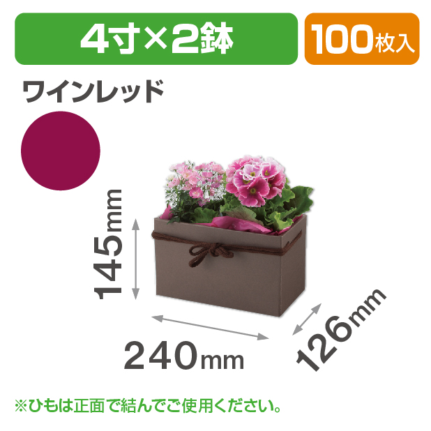 スクエアBOX（4寸×2鉢）ワインレッド