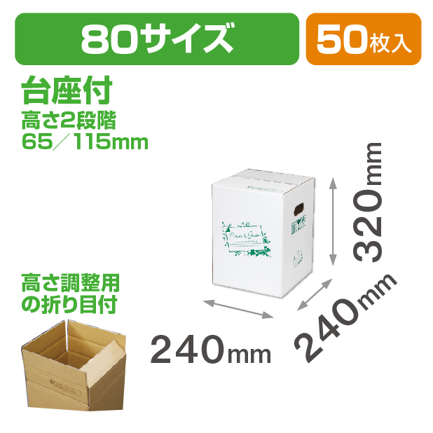 FGホワイト 80サイズ