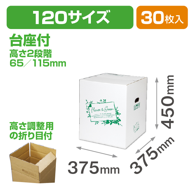 FGホワイト 120サイズ(L)